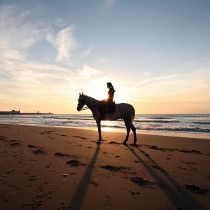 Horse Riding